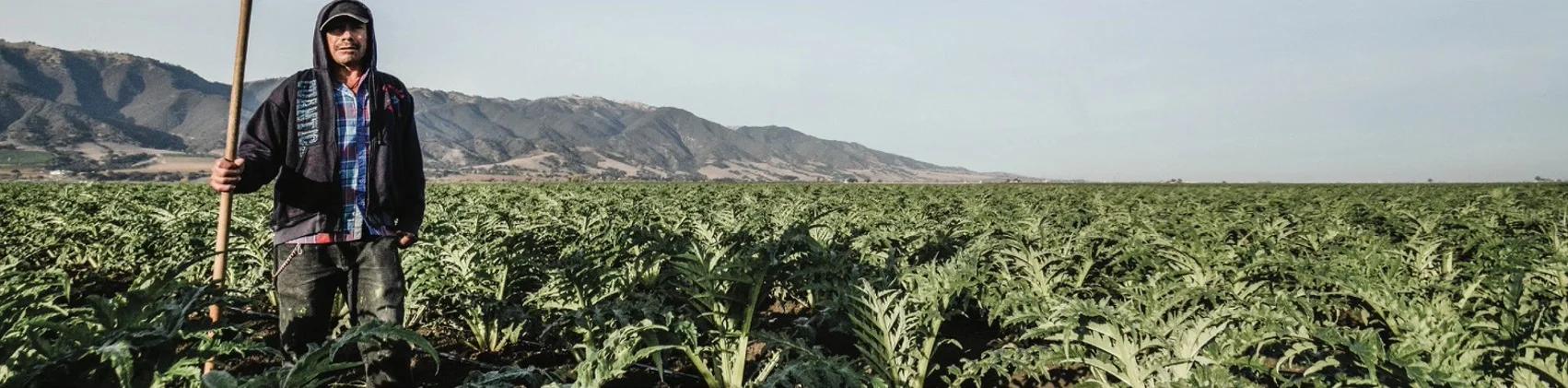 Farm workers in the field - From Field to SLIVER