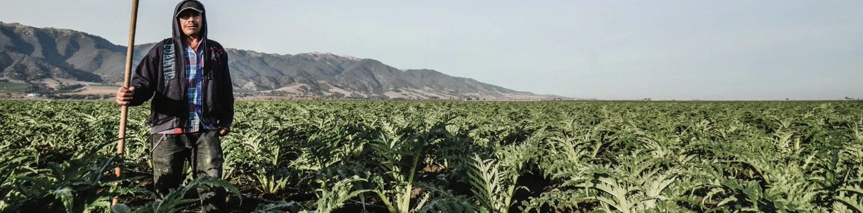 Farm workers in the field - From Field to SLIVER
